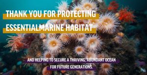 Habitat-300x153 Community Support - Local & Worldwide